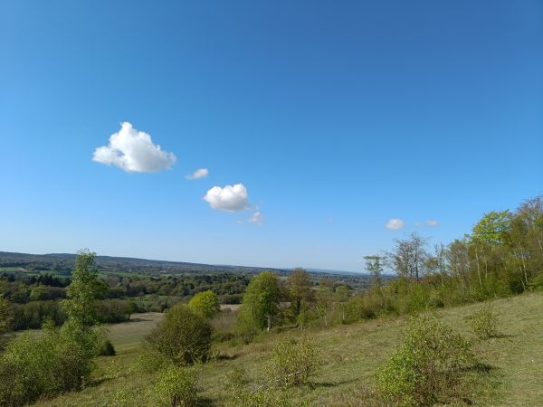 North Downs